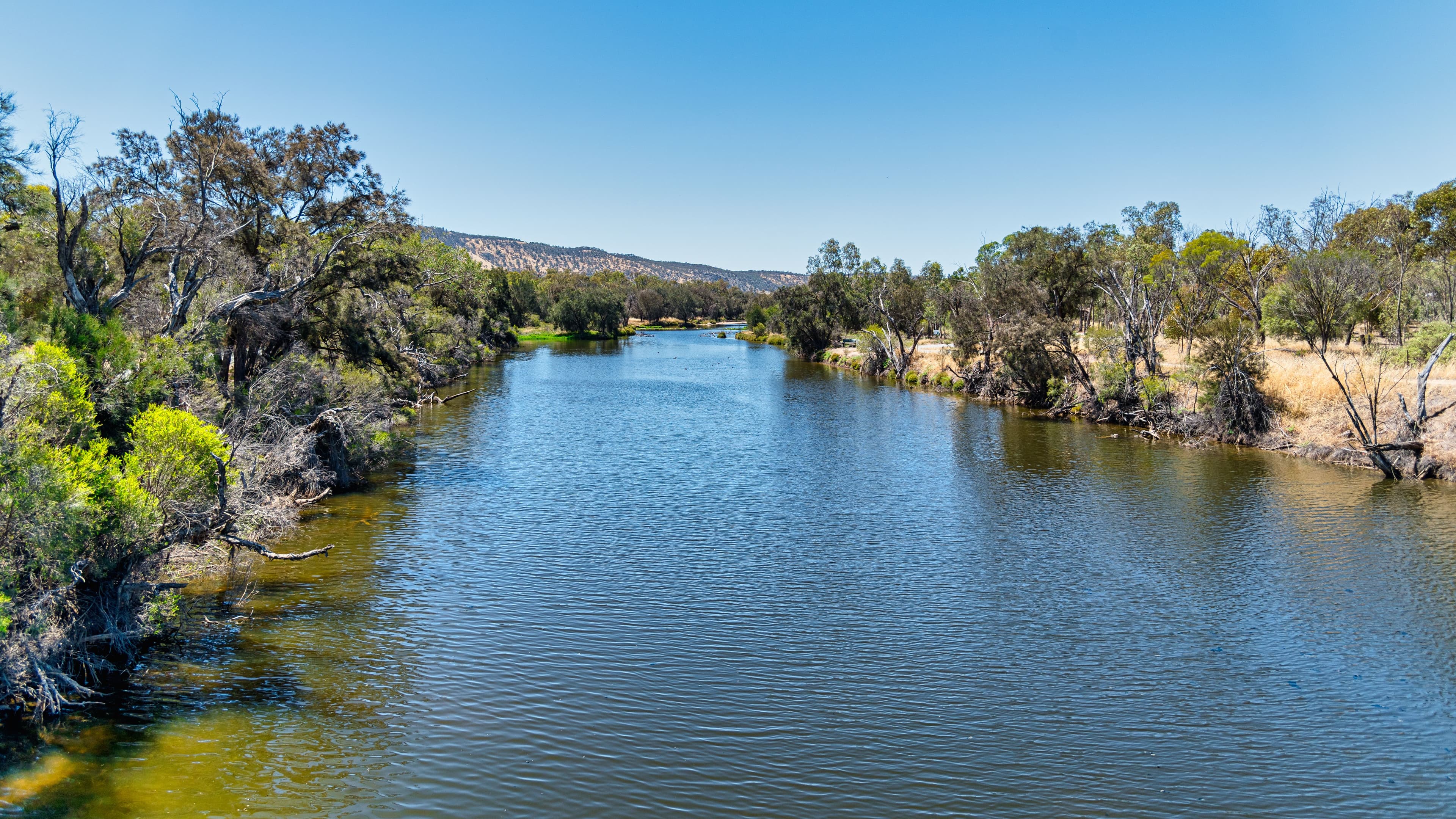 Avon River.jpeg