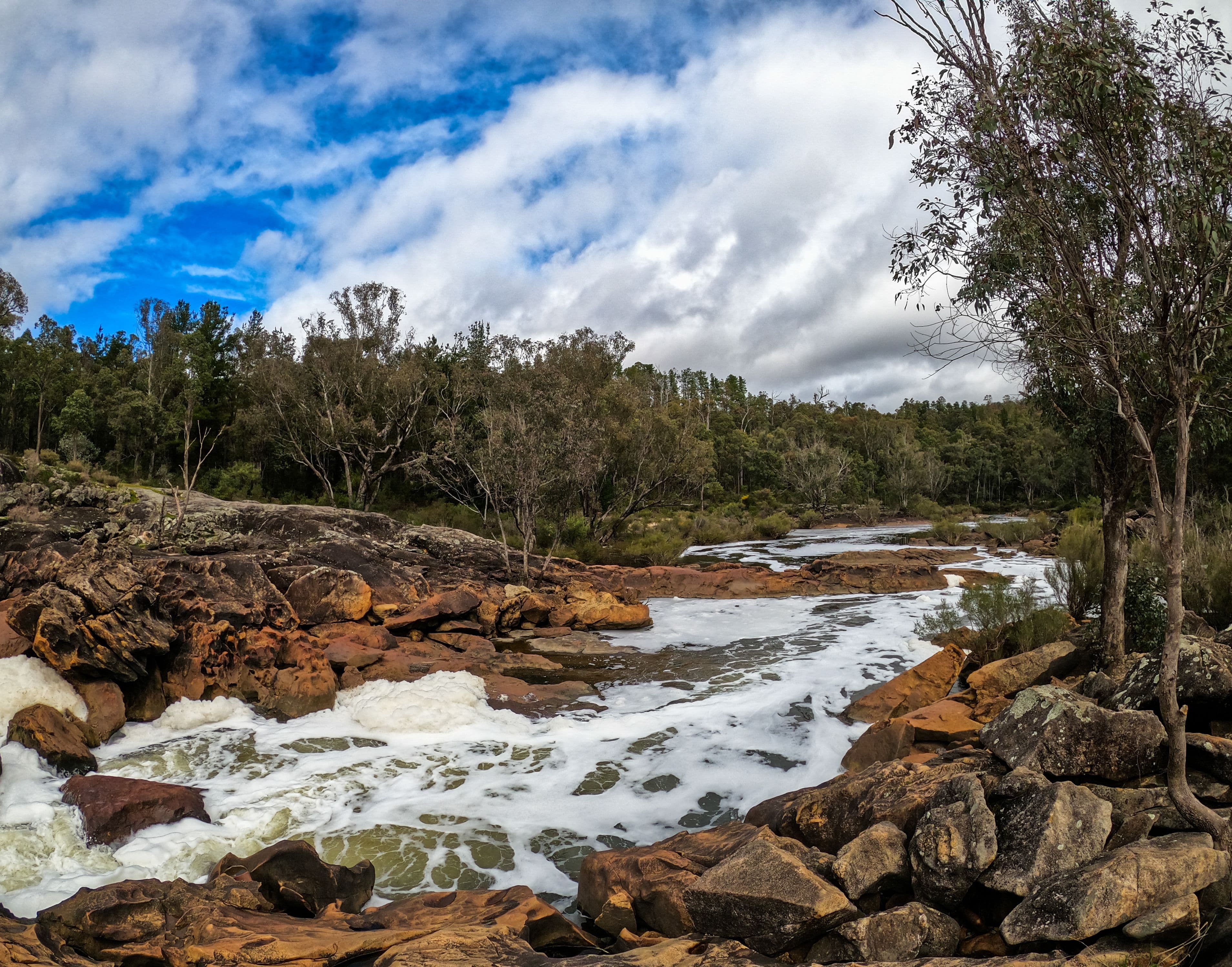 Lane Poole Reserve.jpeg